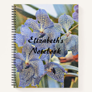 Blue lavander coloured orchid flowers notebook