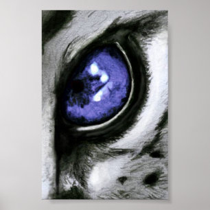 Blue Leopard Eye Poster