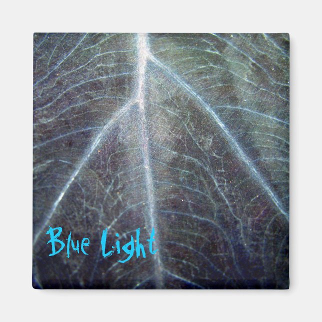 Blue Light Magnet (Front)