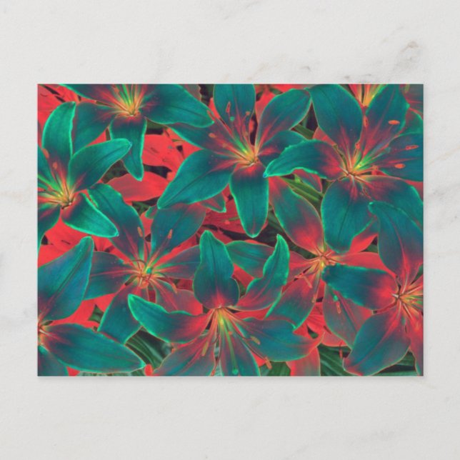 Blue Lilies Postcard (Front)