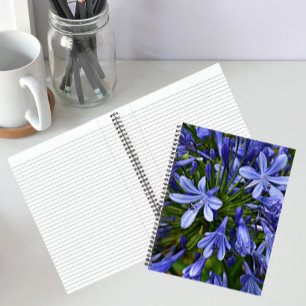 Blue Lily of the Nile Agapanthus Floral Notebook