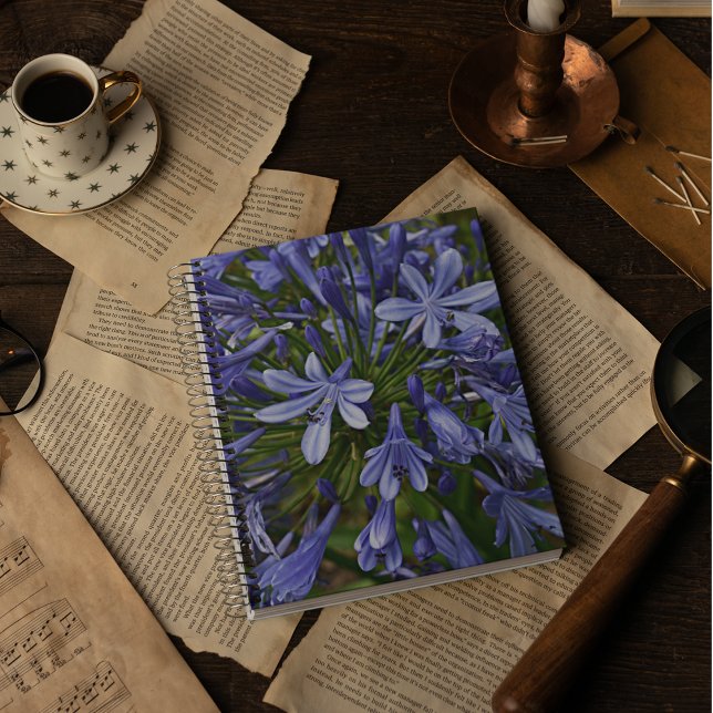 Blue Lily of the Nile Agapanthus Floral Notebook (In Situ)