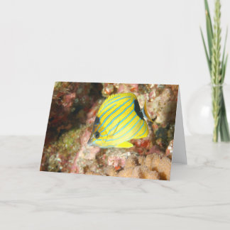 Blue Lined Butterfly Card