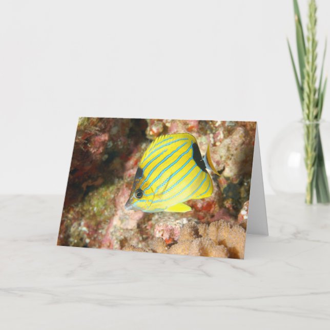 Blue Lined Butterfly Card (Front)