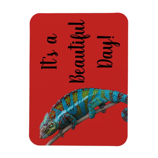 Blue Lizard, Beautiful Day, Red Magnet (Vertical)