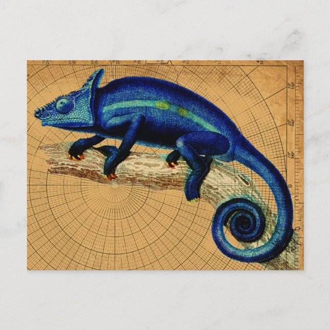 Blue Lizard Postcard (Front)