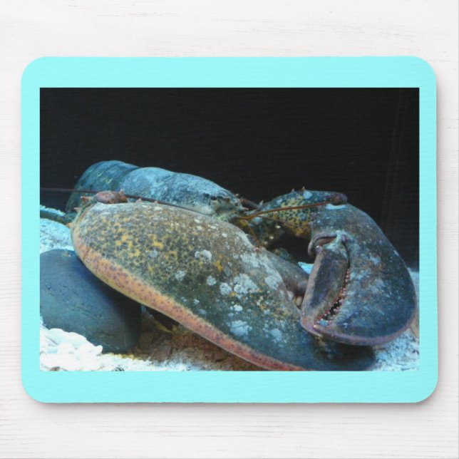 blue lobster mouse pad (Front)