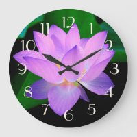 Blue Lotus Beautiful Purple Flower