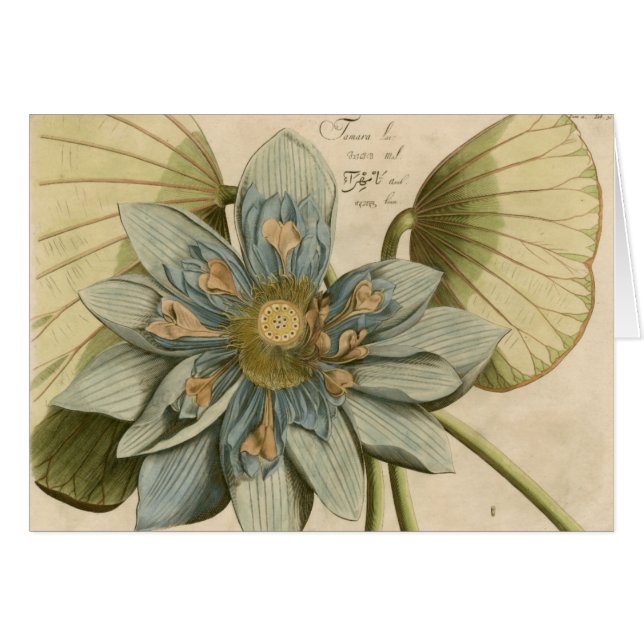 Blue Lotus Flower on Tan Background with Writing (Front Horizontal)