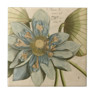Blue Lotus Flower on Tan Background with Writing Ceramic Tile