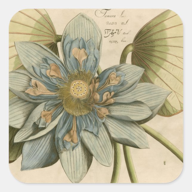Blue Lotus Flower on Tan Background with Writing Square Sticker (Front)