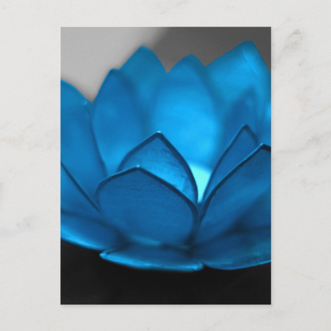 Blue Lotus Flower Postcard (Front)