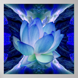 Blue lotus flower poster