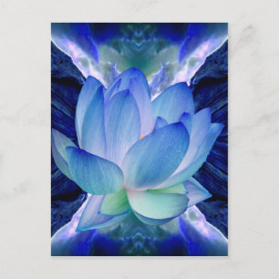 Blue lotus lily postcard