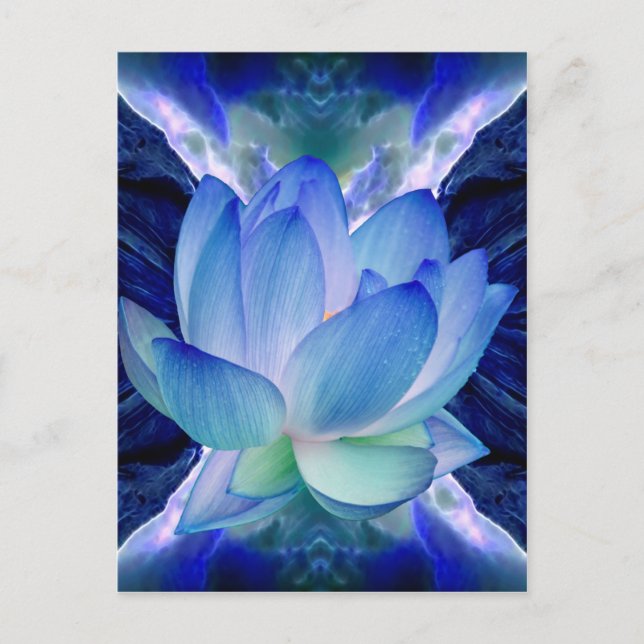 Blue lotus lily postcard (Front)