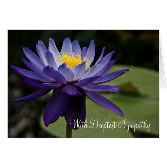 Blue Lotus • Sympathy Card