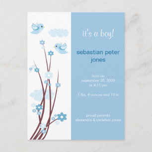 Blue Love Birds Spring Flowers Baby Announcement Postcard