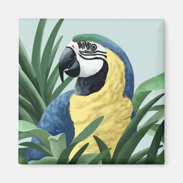 Blue Macaw Magnets (Front)