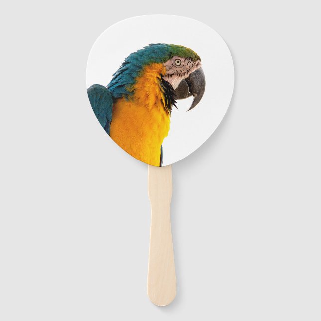 Blue macaw parrot  hand fan (Front)