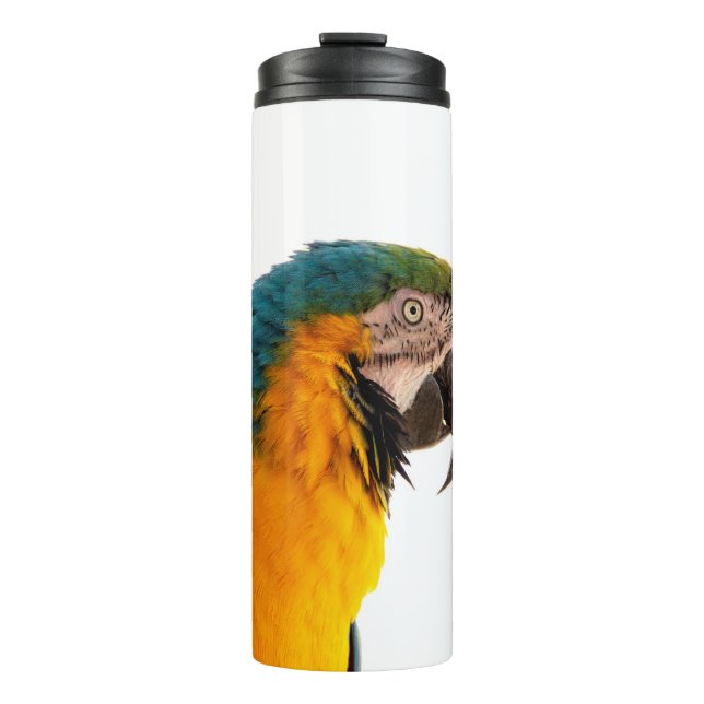 Blue macaw parrot  thermal tumbler (Front)