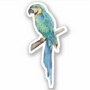 Blue Macaw Parrot Tropical Bird Nature