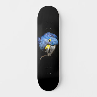 Blue Macaw Skateboard