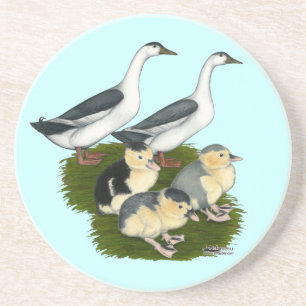 Blue Magpie Duck Family Coaster