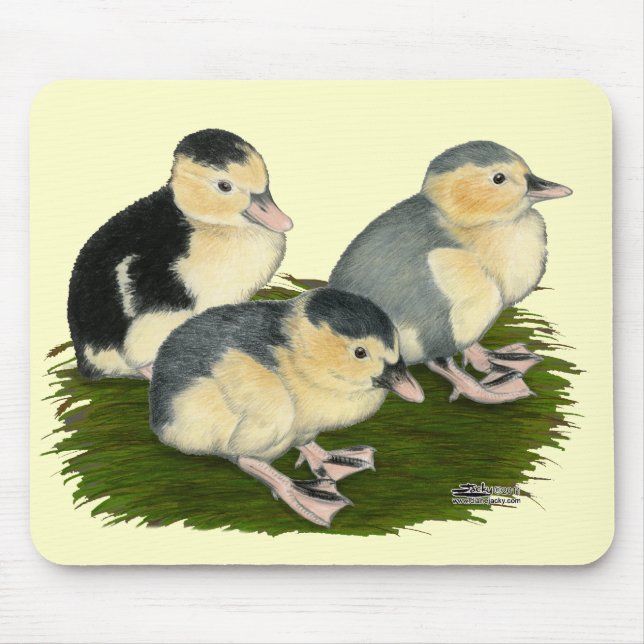Blue Magpie Ducklings Mouse Pad (Front)