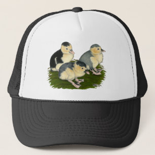 Blue Magpie Ducklings Trucker Hat