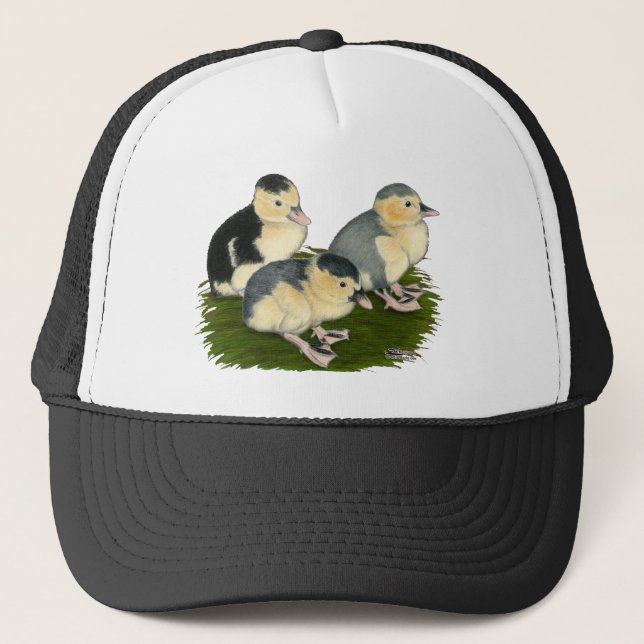 Blue Magpie Ducklings Trucker Hat (Front)