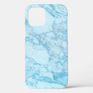 Blue Marble iPhone 12 Pro Case
