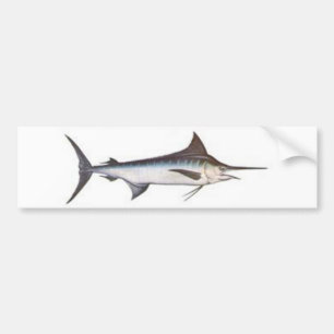 Blue Marlin Bumper Sticker