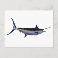 Blue Marlin Fish
