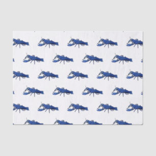 Blue marron crayfish cartoon illustration tissue paper