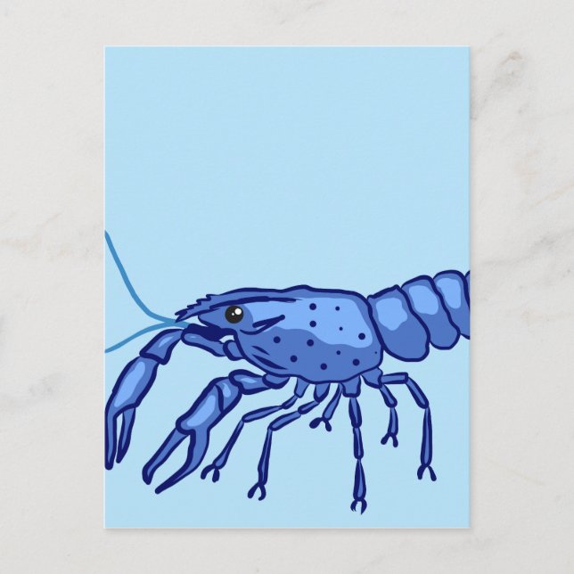 Blue Marron Sketch Postcard (Front)