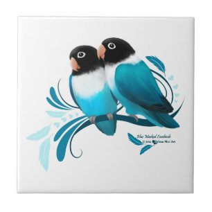 Blue Masked Lovebirds Tile