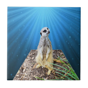 Blue Meerkat Night, Ceramic Tile