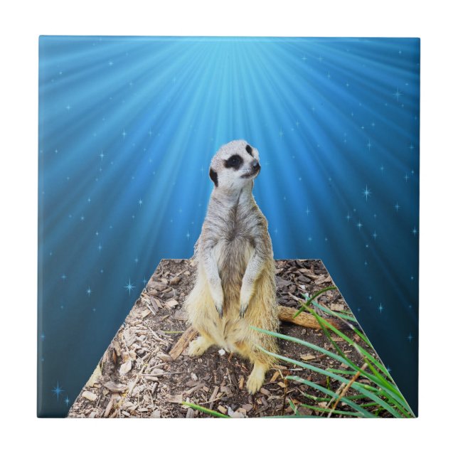 Blue Meerkat Night, Ceramic Tile (Front)