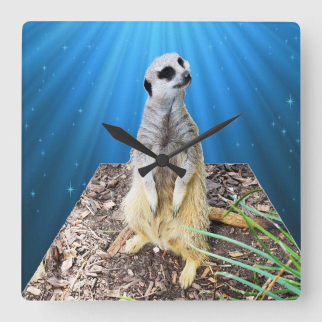 Blue Meerkat Night,_Square Wall Clock. Square Wall Clock (Front)