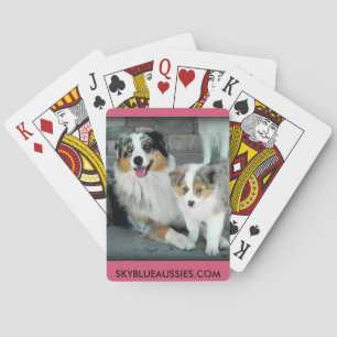 Blue Merle Aussie Cards