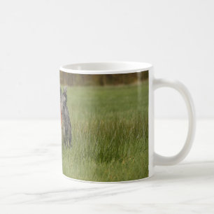 blue merle aussie running w toy coffee mug