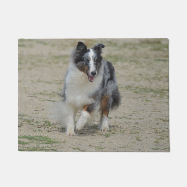 Blue Merle Australian Shepherd Doormat (Front)