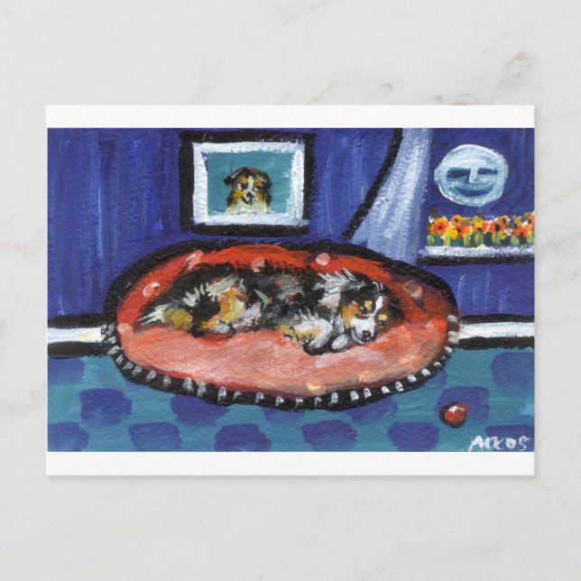 Blue Merle Australian Shepherd in bed Postcard (Front)