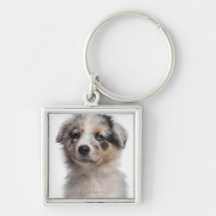 Blue Merle Australian Shepherd puppy close-up Key Ring