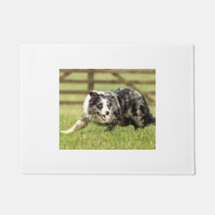 Blue Merle Border Collie~Joe~Doormat Doormat