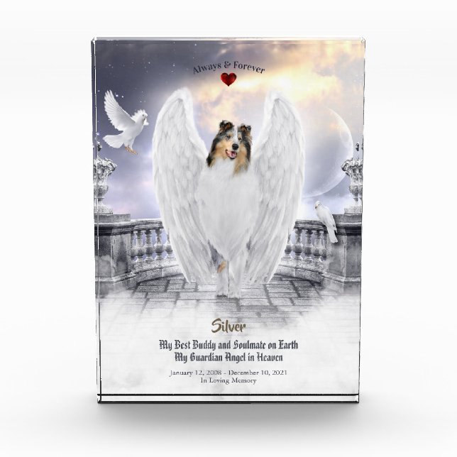 Blue Merle Collie Angel in Heaven - Pet Memorial Photo Block (Front)