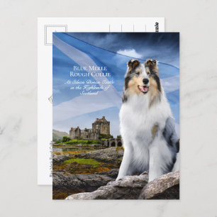 Blue Merle Collie, Eilean Donan & Scottish Flag - Postcard