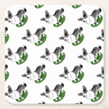 Blue merle, Corgi Cardigan.