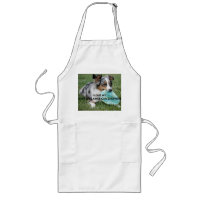 Blue_Merle_Miniature_American_Shepherd love w pict
