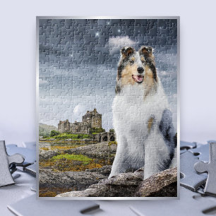 Blue Merle Rough Collie at Eilean Donan Castle - Jigsaw Puzzle